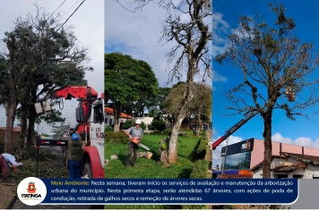 Avaliação e Manutenção da Arborização Urbana do Município