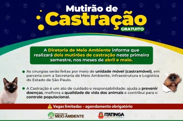 Inscrições Abertas para o Mutirão de Castração