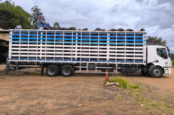 Pneus Velhos Têm Destino Correto!