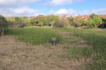 Prefeitura realiza limpeza e roçada no Córrego Rio Novo