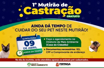 1º Mutirão de Castração Gratuito