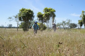 Revitalização do Cemitério do Distrito do Lobo.