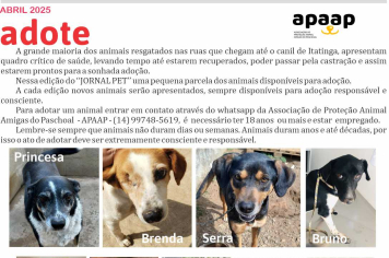 Dê uma chance. Mude uma vida.