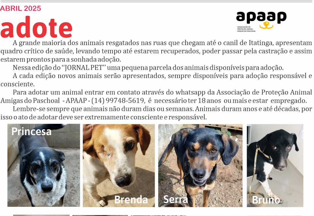 Dê uma chance. Mude uma vida.